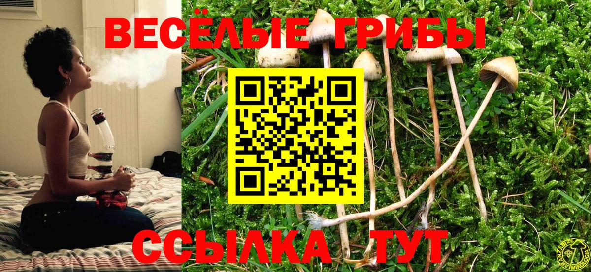 Можайск  Галлюциногенные грибы ЛСД  Вход с VPN 