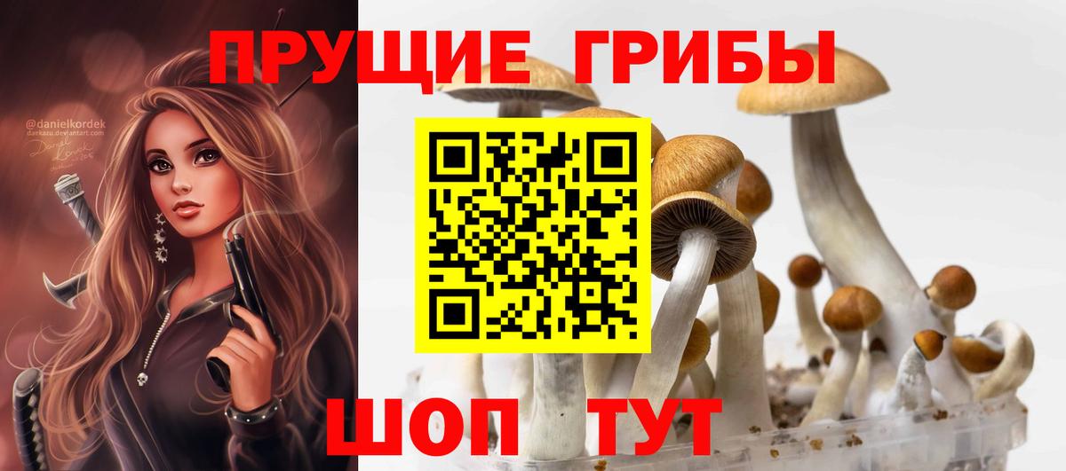 Галлюциногенные грибы Cubensis Можайск
